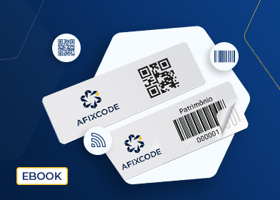 Ebook: Manual de Emplaquetamento e Identificação do Ativo Fixo